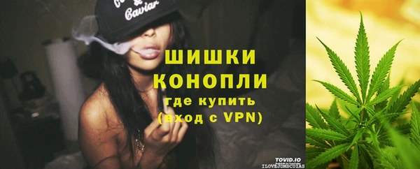 сатива Нязепетровск