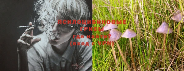 таблы Новодвинск