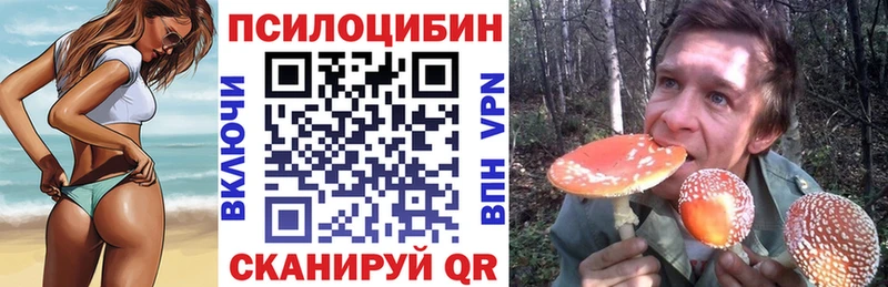 Псилоцибиновые грибы MAGIC MUSHROOMS  Купить где  Новороссийск 